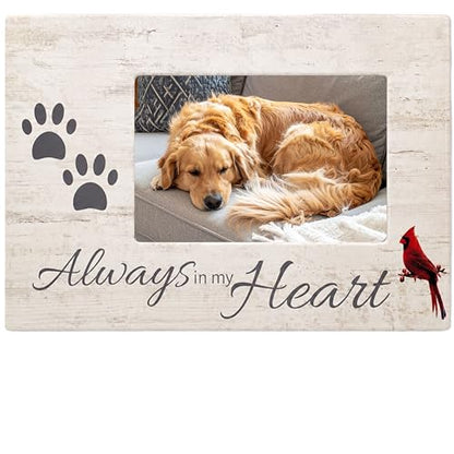 Dog Memorial Picture Frame, Always in My Heart Pet Loss Gift with Cardinal & Paw Print Design, Wood Look 4x6 Photo Frame for Dog or Cat Sympathy, Pet Remembrance Gift, Measures 10 x 7 Inches