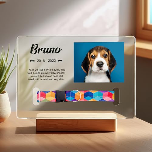Personalized Pet Memorial Plaque Portrait, Custom Dog Remembrance Gifts for Loss, Cat Sympathy Night Lights, in Memory of Dog Passing Away Sign, Cat Rainbow Bridge Photo Frame (With Collar Hole) - style: With Collar Hole