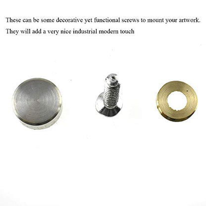 Hahiyo 16mm Diameter Mirror Screws Brushed Stainless Steel Solid Easy Install Brass Washer Decorative Caps Fasteners Nails 8 Pairs for Bathroom Mirrors Panels Kitchen Ceiling Arts Crafts - size: 16mm-8sets