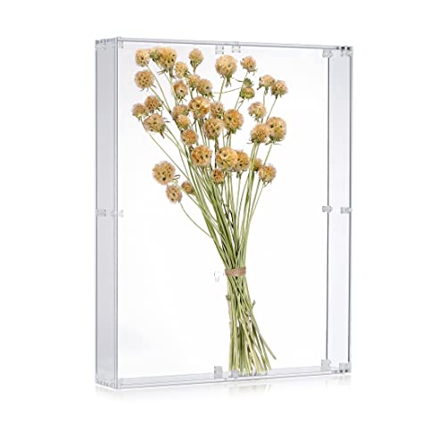 16x20 Acrylic Shadow Box, Assemble Display Case, DIY Tabletop/Wall Mount Display Frame, All Clear Memory Box for Dried Flowers/Kids Room/Birthday/Wedding(16x20x3”, Assemble Frame) - size: 16x20", Assembly Frame