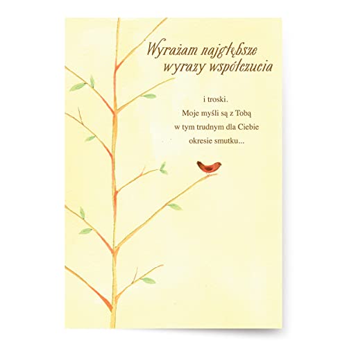 Designer Greetings Polish Language Sympathy Card 6 Pack | Polish Language Sentiment, Boxed Card Set, Matching Envelopes - style: 6 PK Polish Sympathy - Red Jay