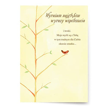 Designer Greetings Polish Language Sympathy Card 6 Pack | Polish Language Sentiment, Boxed Card Set, Matching Envelopes - style: 6 PK Polish Sympathy - Red Jay