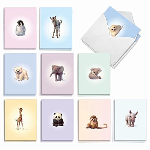 The Best Card Company 20 Assorted Baby Notecards Box Set 4 x 5.12 Inch with Envelopes (10 Designs, 2 Each) Zoo little ones AM6726BBG-B2x10 - style: Zoo Babies Baby