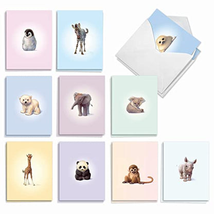 The Best Card Company 20 Assorted Baby Notecards Box Set 4 x 5.12 Inch with Envelopes (10 Designs, 2 Each) Zoo little ones AM6726BBG-B2x10 - style: Zoo Babies Baby