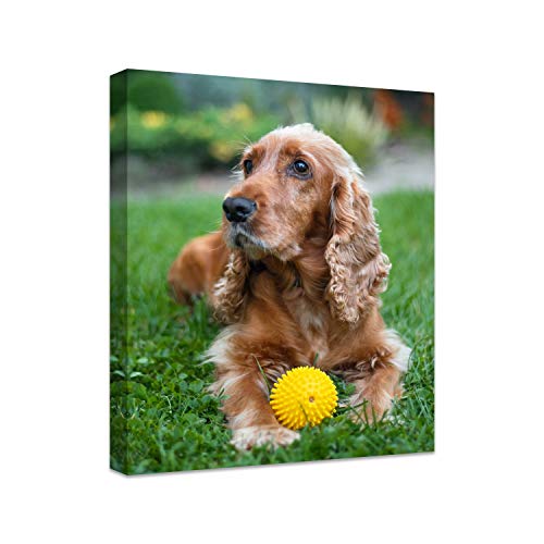 Personalized Photo to Canvas Print - Canvas Prints With Your Photos on Custom Wall Art for Bedroom, Living Room, Wedding Baby Pet Family Picture Framed Wall Art (11" W x 14" H) - size: 14"L x 11"W