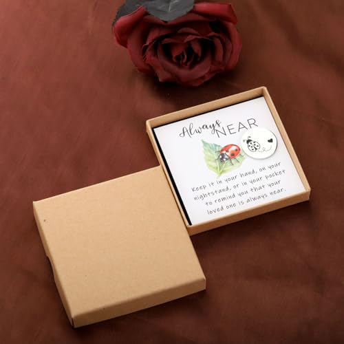 CENWA Loss of A Loved One Ladybug Memorial Gift - Ladybug Token & Wish Jewelry