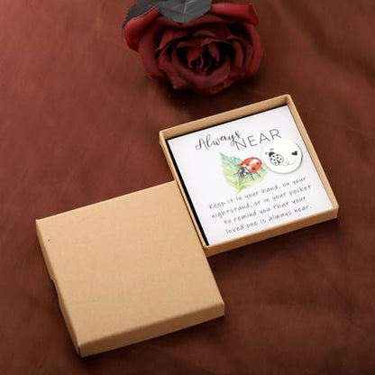 CENWA Loss of A Loved One Ladybug Memorial Gift - Ladybug Token & Wish Jewelry