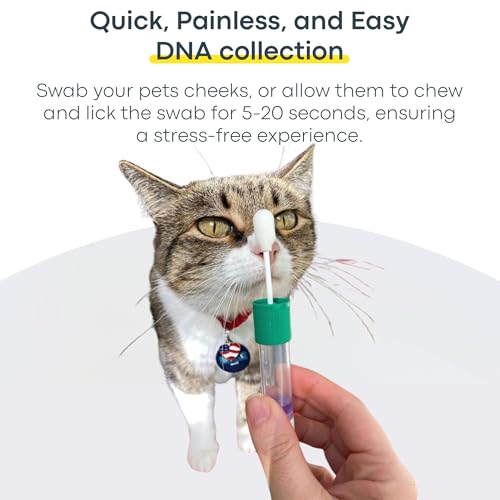 Basepaws Cat DNA Test Kit, Breed, Health & Dental Insights (Pack of 2) - size: 2 Count (Pack of 1)