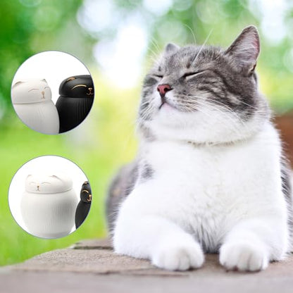 Ceramic Cat Urn for Ashes - Pet Memorial Box with Secure Lid - color: White