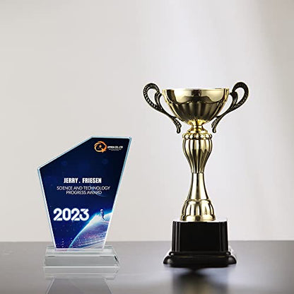 Crystal Sublimation Blanks Sublimation Glass for Custom Picture Photo Frame, Award Plaque, Crystal Tabletop Decor, In-Loving Memory Sublimatin Printing Products (Irregular)