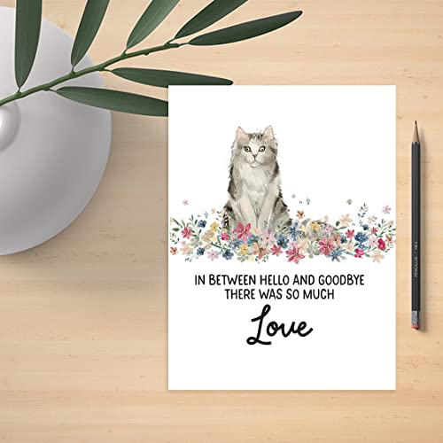 Andaz Press Jumbo Pet Sympathy Card with Envelope, Sorry For Your Loss Card, Ragamuffin Cat Loss Of Pets, Cat Grief Bereavement Card with Big Blank Space to Send to Friends, Family, 8.5" x 11", 1-Pack - color: Ragamuffin Cat