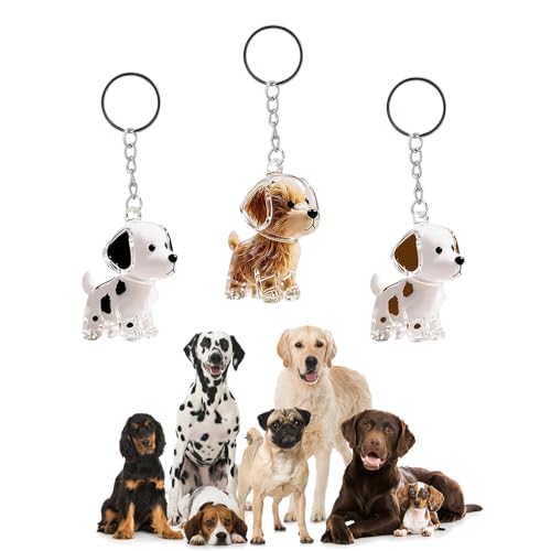 Dog Hair Keychain, 3PCS Pet Fur Keepsake for Collecting Hair, Transparent Bottle Dogs Hairs Keepsake