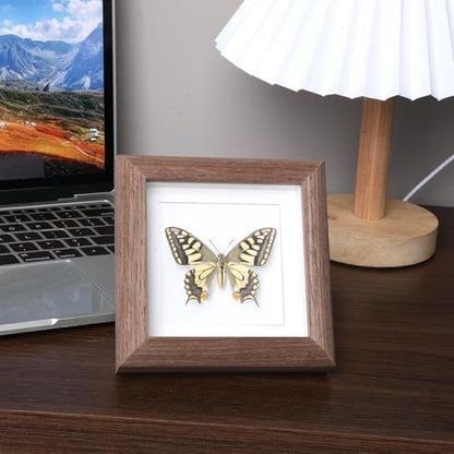 3.5x3.5 Shadow Box Picture Frame, Small Shadow Box Solid Wood Picture Frame ShadowBox Display Case Pictures Frames Hang Memory Boxes Sports Memorabilia, Awards, Medals, Wedding, Tickets and Photos