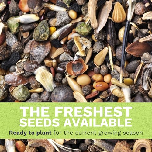 Southwest Regional Mix - Large 1 Ounce Packet - 15,000 Flower Seeds for Planting - Wildflower Mix - size: 1 Ounce (Pack of 1), style: Southwest Regional Mix
