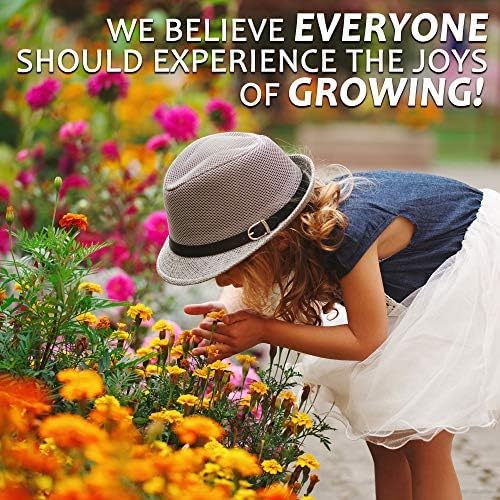 Mountain Valley Seed Co Wildflower Seed 1 Lb 640,000+ Seeds Annual | Southwestern Wildflower Seed Mix Perennial Flower with Southwest Native Wildflowers, Flower Seed Bulk, Desert Wildflowers Mix - size: 1 Lb, style: Southwest