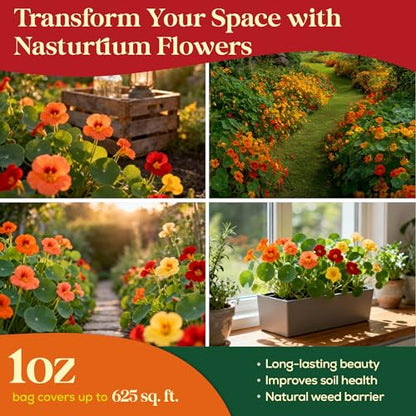Seedphony Nasturtium Seeds Pack 1 oz - 180 Non-GMO Heirloom Nasturtium Seeds for Planting, Perennial Flowers in Waterproof Seed Packet, Wildflower Seeds for Planting Garden Indoor & Outdoor Gardening - size: Nasturtium 1oz, style: Nasturtium Flower Seeds
