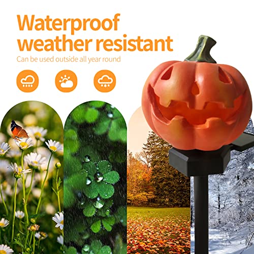 QH & Garden Pumpkin Solar Light -Garden Solar Powered Outdoor Decor | Balcony, Yard, Lawn, Pathway, Solar Powered, Halloween Decorations，LED Waterproof Pumpkin Light - style: Pumpkin