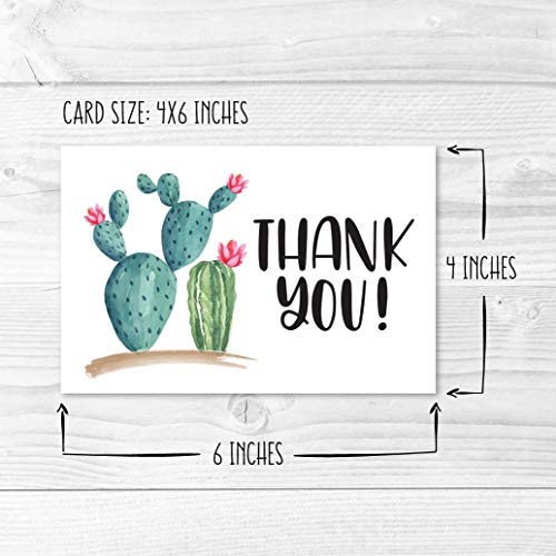 24 Bulk Thank You Cards with Envelopes Blank Cute Thank You Cards | Cactus 6 x 4 Appreciation Card Birthdays, Baby Shower, Teacher, Small Business, Party Guests, Coworkers & Holidays - color: Succulent