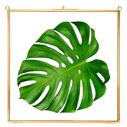 REDHUGO Glass Pressed Flower Frames, Square, Gold, 10x10 Inches - color: Gold, size: 10L" x 10W"