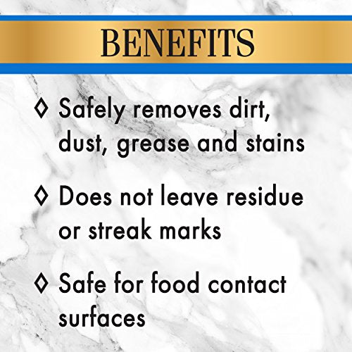 Stone Care International Granite Cleaner - 32 Fluid Ounces (4 Pack) Granite Marble Quartz Tile Travertine Limestone Slate Clean - size: 4 Pack