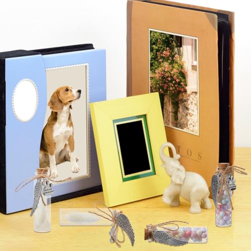 SUPERFINDINGS 4Pcs Pet Hair Memorial Bottle Hair Locket Keepsake Pet Fur Keepsake Fur Memorial Mini Glass Vial with Paw Print Wing Charms for Cat GOG Ashes Urn Loss Sympathy Gift