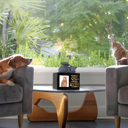 Pet Urns for Ashes, Black Wooden Cat Urns for Ashes with Cat Angel, Cat Memorial Keepsake Memory Box with Photo Frame, Loss Pet Sympathy Remembrance Gift (Medium - Memory)