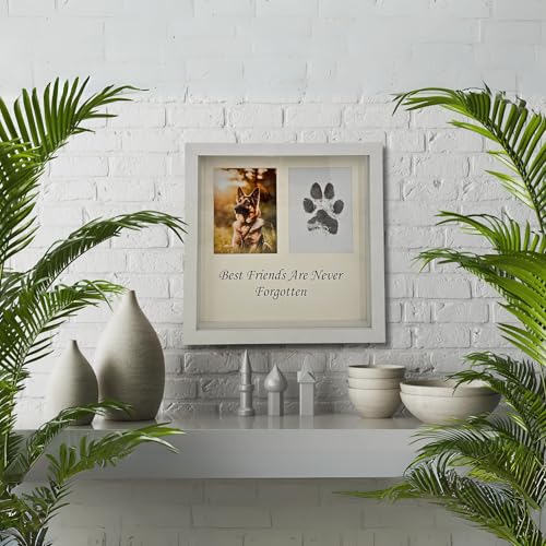 OtterPets Paw Print Kit for Dogs 9x9, 4 customizable displays (White) - color: White