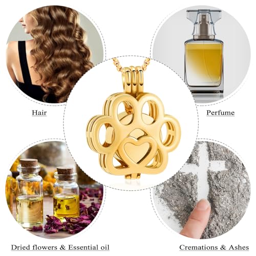 Oinsi Pet Cremation Jewelry For Ashes For Dog/Cat Paw Stainless Steel Memorial Locket Urn Necklace Inside Mini Case Keepsake Cremation Jewelry Women Men - color: All Gold