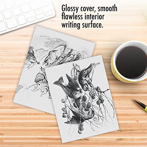 The Best Card Company - 10 Bird Note Cards Blank (4 x 5.12 Inch) - All Occasion Cards with Envelopes, Boxed Set - Wing Notes M6475OCB - style: Wing Notes