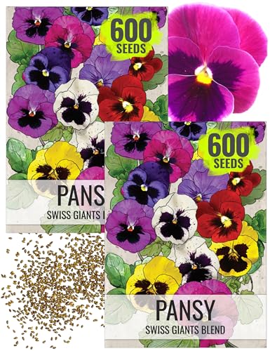 Seed Needs Swiss Giants Pansy Seeds to Plant a Mixture of Flowers 2 Packs - size: 2 Packs, style: Swiss Giants Pansy