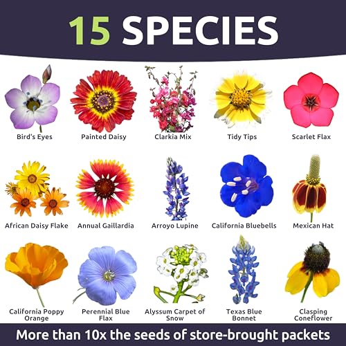 Southwest Regional Mix - Large 1 Ounce Packet - 15,000 Flower Seeds for Planting - Wildflower Mix - size: 1 Ounce (Pack of 1), style: Southwest Regional Mix