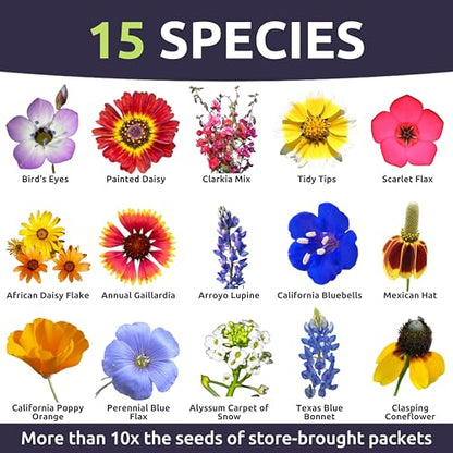 Southwest Regional Mix - Large 1 Ounce Packet - 15,000 Flower Seeds for Planting - Wildflower Mix - size: 1 Ounce (Pack of 1), style: Southwest Regional Mix