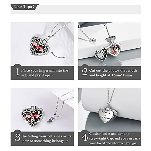 WINNICACA Cremation Jewelry for Ashes Locket Ashes Necklace Urn Necklace for Women Sterling Silver Cremation Necklace for Ashes Fine Keepsake Picture Necklace Memorial Jewelry - style: A01-Rose Urn Locket Necklace(Red Crystal)