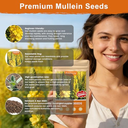 10,000+ Mullein Seeds for Planting, Verbascum thapsus Flower Seeds | Heirloom flower seeds for pollinator gardens, medicinal herb gardens and landscaping; easy to grow indoors or outdoors
