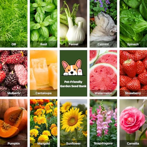 Lush&Dew Pet-Friendly Heirloom Seed Bank, Gardening Gifts for Women Men | 16 Varieties 15,000+ Non-GMO Seeds for Planting Herbs Flowers Vegetables in Raised Garden Bed Windowsill, Annuals Perennials - style: Pet-Friendly