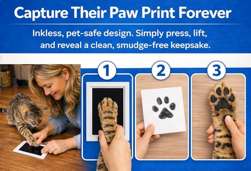 OtterPets Cat Urn for Ashes with Paw Print Kit, 4 Customizable Displays | 6.5 x 6.5 x 4 in pet cremation box with flannel bag; memorial keepsake for cat ashes