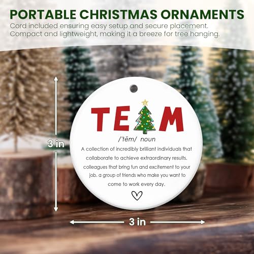 TEEZWONDER Team Gifts for Employees Coworkers - Christmas Ornaments 2026 - color: Team