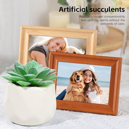 iAOVUEBY Loss of Dog Pet Sympathy Gift, Pet Memorial Gifts for Dogs, Loss of A Dog Sympathy Gift Baskets, Dog Passing Away Gifts, Loss of Pet Gift Box for Dogs Lovers Friends Family