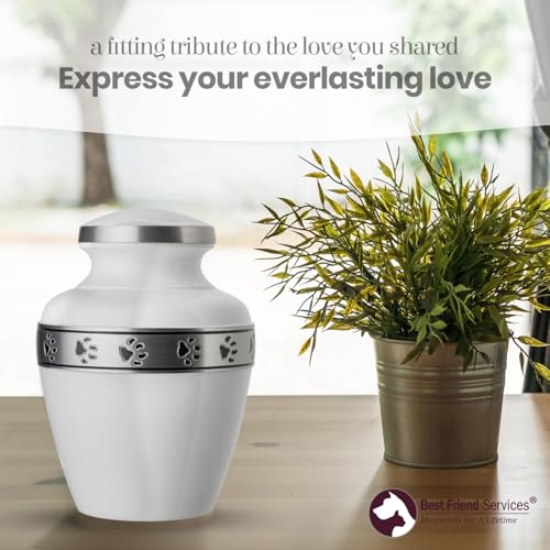 Morgan Legacy Cloud White/Pewter Pet Urn, up to 65lbs - color: Cloud White, Pewter Band, size: Medium