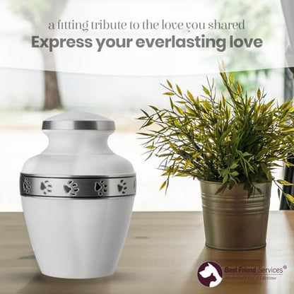 Morgan Legacy Cloud White/Pewter Pet Urn, up to 65lbs - color: Cloud White, Pewter Band, size: Medium