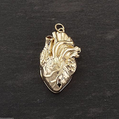 FashionJunkie4Life Sterling Silver Locket Necklaces for Women, 18" Cable Chain - color: Gold Anatomical Heart