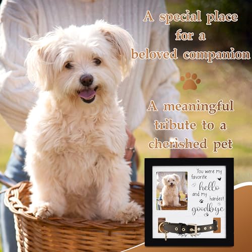 Dog Collar Memorial Frame, Pet Memorial Frame with Collar Holder, Loss of Dog Sympathy Gift, Pet Sympathy Remembrance Gift - size: Basic