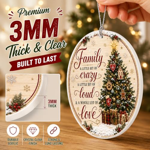 Family Christmas Ornament 2026, Funny Family Tree Ornament, A Little Bit of Crazy, A Little Bit of Loud, A Whole Lot of Love Holiday Keepsake - color: Family1