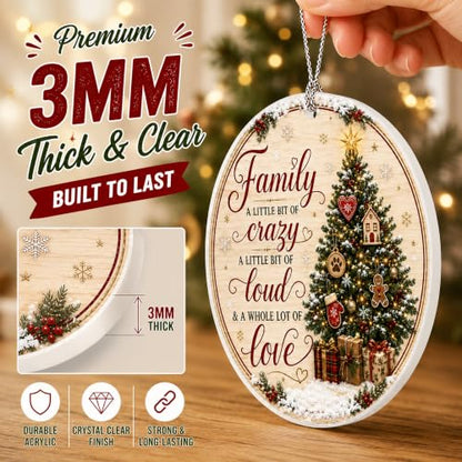 Family Christmas Ornament 2026, Funny Family Tree Ornament, A Little Bit of Crazy, A Little Bit of Loud, A Whole Lot of Love Holiday Keepsake - color: Family1