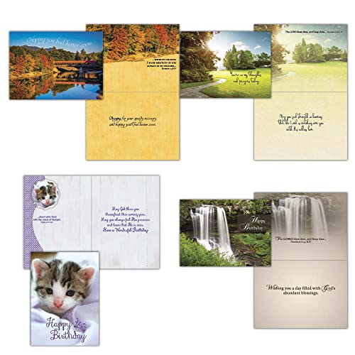 KJV Value Pack Greeting Cards, 48 Count | Versatile Religious Card Collection With KJV Scripture Helps You Celebrate Every Special Occasion