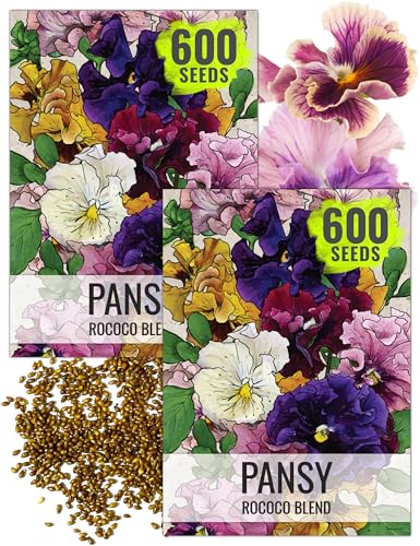 Seed Needs Rococo Pansy Seeds to Plant a Mixture of Frilly Flowers 2 Packs - size: 2 Packs, style: Rococo Pansy
