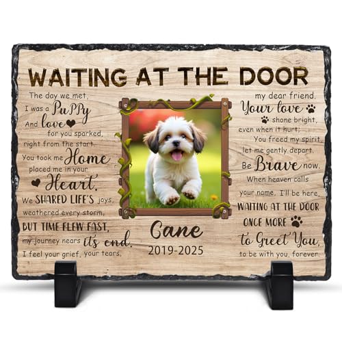 Customized Pet Photo Memorial Stones for Loss of Dogs Cats Sympathy Gift - color: Style 3