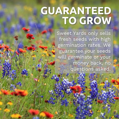 Southwest Regional Mix - Large 1 Ounce Packet - 15,000 Flower Seeds for Planting - Wildflower Mix - size: 1 Ounce (Pack of 1), style: Southwest Regional Mix
