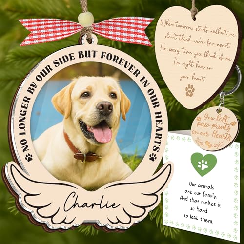 DIY Dog & Cat Memorial Picture Frame Ornament, Memorial Photo Car Clip, Pet Remembrance Fridge Magnet, Sympathy for Loss of Pet Keychain, Bereavement Card, in Memory Gifts for Dog Lover, Cat Mom Dad - color: Pet Memorial Gifts
