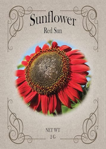 Black Duck Brand Set of Flower Seed Packets! Flower Seeds in Bulk - Great for Creating The Garden of Your Dreams! (25, Red Sun Sunflower) - color: Red Sun Sunflower